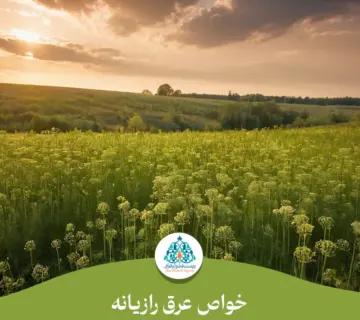 فواید عرق رازیانه