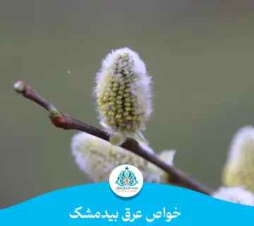 خواص عرق بیدمشک