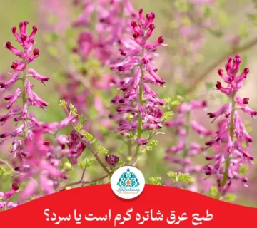 طبع عرق شاتره